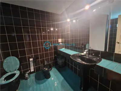 Royal Imobiliare - Inchiriere vila P+1, zona Marasesti - foto 10