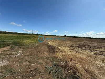Royal Imobiliare - Vanzare Teren Intravilan Zona Paulesti - Paulesti