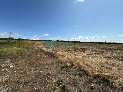 Royal Imobiliare - Vanzare Teren Intravilan Zona Paulesti - foto 2