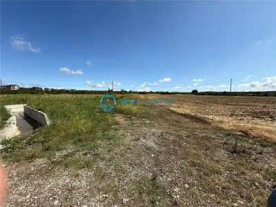 Royal Imobiliare - Vanzare Teren Intravilan Zona Paulesti - foto 4
