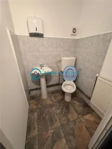 Royal Imobiliare - Inchiriere Vila zona Gheorghe Doja - foto 12