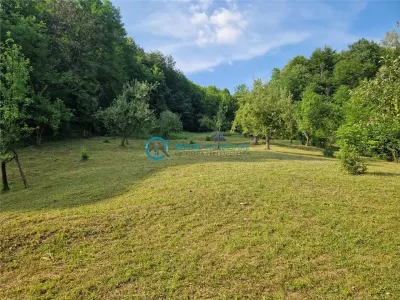 Royal Imobiliare - Vanzare teren intravilan Valea Tarsei - Breaza - foto 2