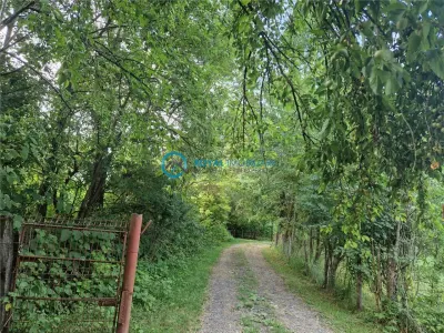 Royal Imobiliare - Vanzare teren intravilan Valea Tarsei - Breaza - foto 4