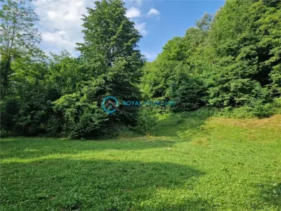 Royal Imobiliare - Vanzare casa Valea Tarsei - Breaza - foto 11