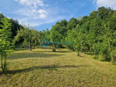 Royal Imobiliare - Vanzare casa Valea Tarsei - Breaza - foto 14