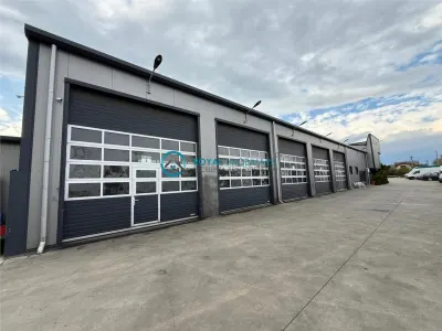 Royal Imobiliare - Inchiriere spatiu industrial zona Tantareni - Tantareni