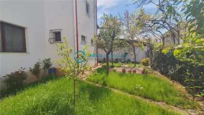 Royal Imobiliare - Vanzari case/vile - Zona Cioceanu - foto 3