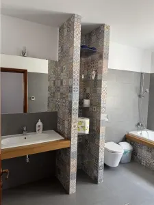 Royal Imobiliare - Vanzare Vila Zona Rudului - foto 25