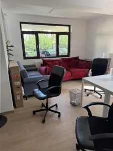 Royal Imobiliare - Vanzare Vila Zona Rudului - foto 8