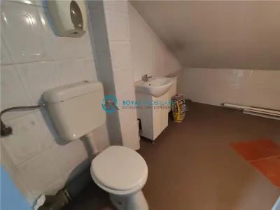Royal Imobiliare - Inchirieri birouri zona Cantacuzino - foto 18