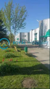 Royal Imobiliare - Inchiriere spatiu industrial Filipestii de Targ - Filipestii de Targ