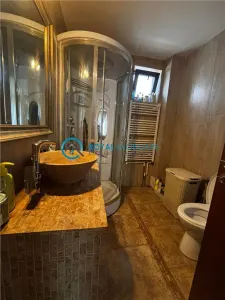 Royal Imobiliare - Vanzare Vila P+1E zona Albert - foto 15