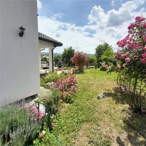 Persoana Fizica -CASA CU 5 CAMERE BUCIUM  Trei Sarmale-645mp teren. - foto 4