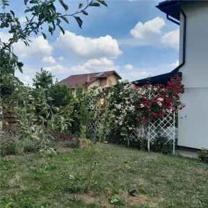 Persoana Fizica -CASA CU 5 CAMERE BUCIUM  Trei Sarmale-645mp teren. - foto 6