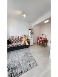 Apartament 2 camere si mansarda Popas Pacurari - foto 2