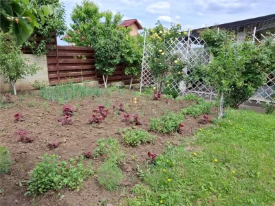 Casa cu 5 camere linga Hanul Trei Sarmale cu 645mp teren.  Persoana fizica! - foto 7