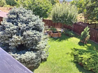 Vila eleganta -  proiect deosebit crama garaj sala de fitnes foisor si 825m teren Plopii fara sot Bucium - foto 22