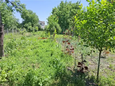 Casa Focsani, 900 mp teren, CT gaze - foto 3