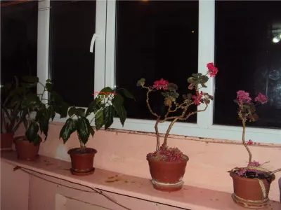 Apartament 3 camere, et 6, CT, Scoala nr 9 - foto 10