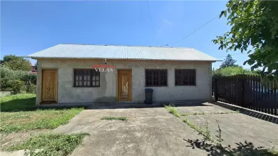 Casa Petresti, parter, s.c. 126 mp, cu teren 1250 mp - foto 21