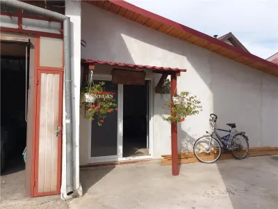 Casa Focsani+atelier mecanic si spatiu comercial stradal - foto 11