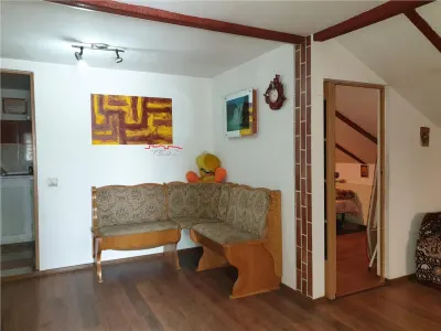 Casa Focsani+atelier mecanic si spatiu comercial stradal - foto 16
