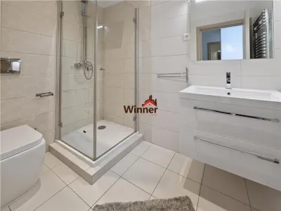 Inchiriere Apartament cu 3 camere Rovere - Erou Iancu Nicolae - foto 10