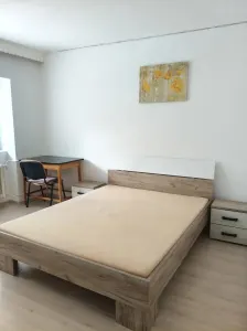 Apartament 1 cameră decomandat, 42 mp, Podu Roș â€“ Nicolina - foto 3