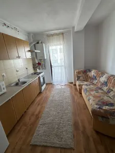 Studio 1 dormitor 32mp Doamna Stanca Selimbar SIBIU - foto 3