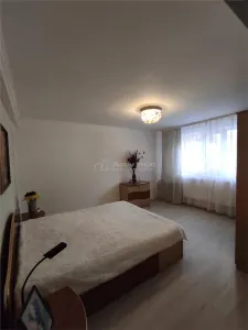 Vila Dristor- Ramnicu Sarat - foto 10