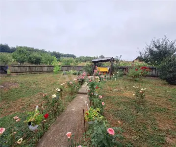 Casa 145 mp utili + 3.000 mp teren cu livada si vie – zona Magura Crihan - foto 13