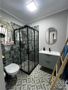 De vanzare casa individuala cu 4 camere 2 bai si 250 mp de teren situata in Cristian - foto 10