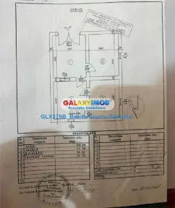 Vanzare vila P+1 E anexe cu teren 550 mp  oras Pantelimon - foto 10