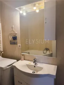 Apartament 2 camere de inchiriat North Area Lake View - foto 21