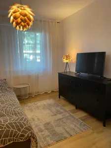 Apartament 2 camere de închiriat â€“ Șoseaua Națională | 7 min Palas & Palas Campus - foto 7