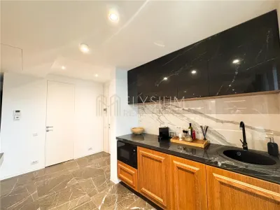 Apartament tip Duplex cu 4 camere de inchiriat One Charles de Gaulle - foto 11