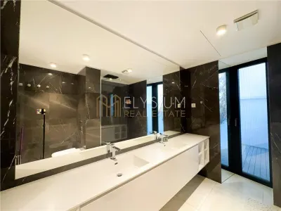 Apartament tip Duplex cu 4 camere de inchiriat One Charles de Gaulle - foto 23