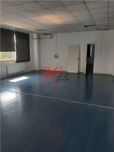 Inchiriere birou Laminorului - foto 4