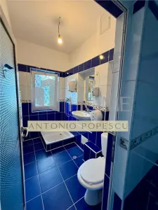 Spatiu comercial  stradal S+P+1+M, ultracentral, Ploiesti. - foto 13