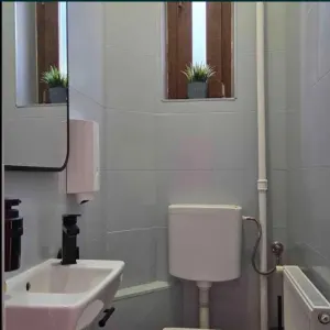 Inchiriere Mansarda Vila 2 camere zona Pache Protopopescu Bucuresti - foto 4