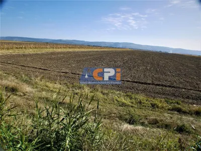 Teren iesire din Nicolae Balcescu, la 200ml de E85 Bacau - foto 9