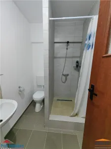 Birouri sau spatii Cazare in Aradu Nou - foto 2