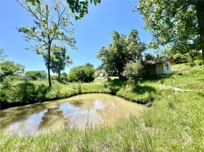 Casă individuala 2 camere in Perieni- Probota  cu iaz propriu - Probota
