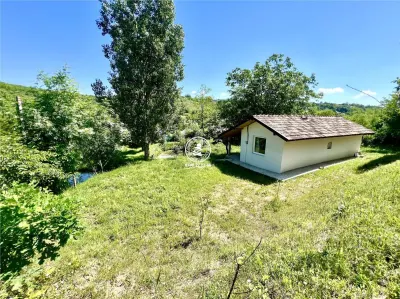 Casă individuala 2 camere in Perieni- Probota  cu iaz propriu - foto 11