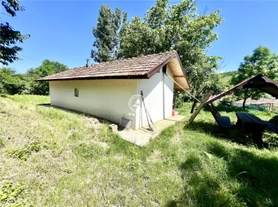 Casă individuala 2 camere in Perieni- Probota  cu iaz propriu - foto 13