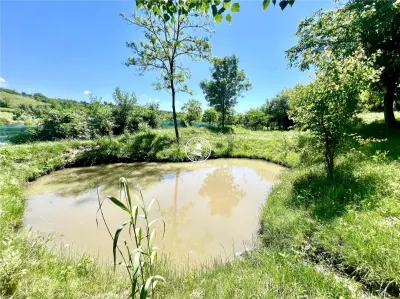 Casă individuala 2 camere in Perieni- Probota  cu iaz propriu - foto 3