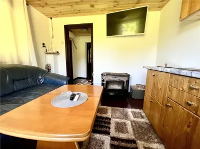 Casă individuala 2 camere in Perieni- Probota  cu iaz propriu - foto 8