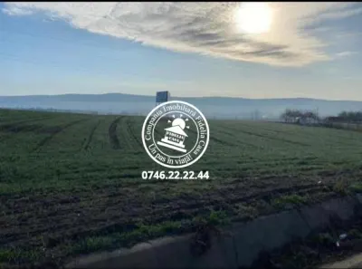 Teren la DJ248 - 19.201mp - Valea Satului, Grajduri - foto 3