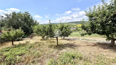 Vilă de Vânzare în Rediu (Aroneanu) – 350 mp Construiți și 6400 mp Teren (Lotizabil) - foto 5