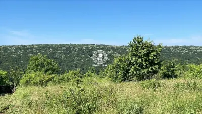 Teren de vanzare 7400mp, Slobozia - Ciurea - foto 1